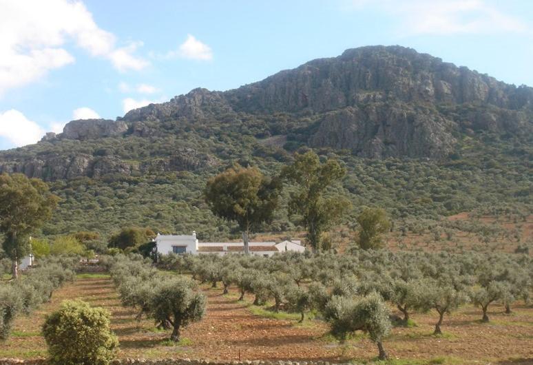 Casa Rural Sierra De Mampar Hornachos Екстер'єр фото